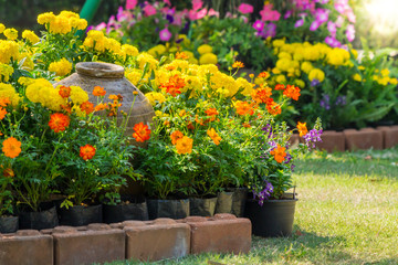 Flowers in the garden on summer. /Landscaped flower garden with lots of colorful blooms on summer.
