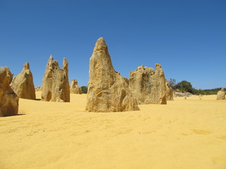 Fototapeta na wymiar Pinnacles, Nambung National Park, Western Australia