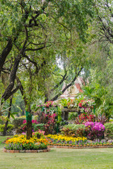 Naklejka premium Flowers in the garden on summer. /Landscaped flower garden with lots of colorful blooms on summer.