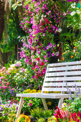 White Wood chair in the flowers garden./ White Wood chair in the flowers garden on summer.
