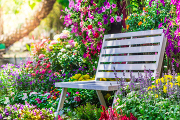 White Wood chair in the flowers garden./ White Wood chair in the flowers garden on summer.
