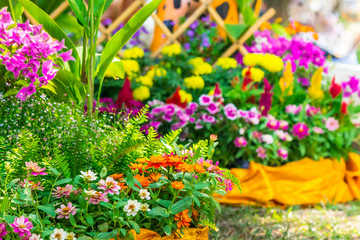 Fototapeta na wymiar Beautiful flower garden on summer./ Picket fence surrounded by flowers in a front yard on summer.