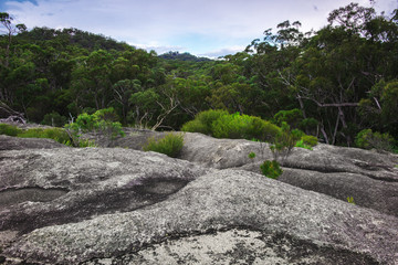 Fototapeta na wymiar Girraween National Park during the day in Queensland, Australia