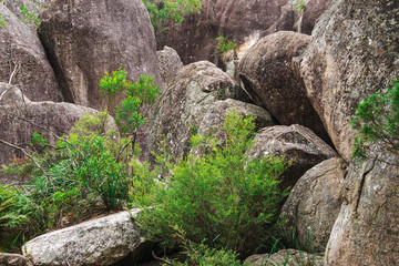 Girraween National Park during the day in Queensland, Australia