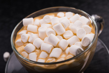 Fototapeta na wymiar Cup of coffee with marshmallow
