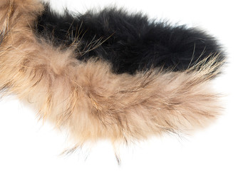 Obraz premium brown and black fur on a white background