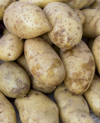 Closeup fresh potatoes background
