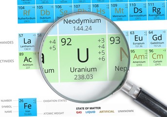 Uranium symbol - U. Element of the periodic table zoomed with magnifying glass