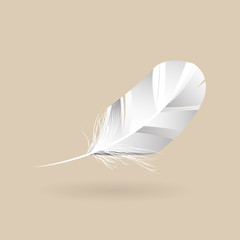  feather vector