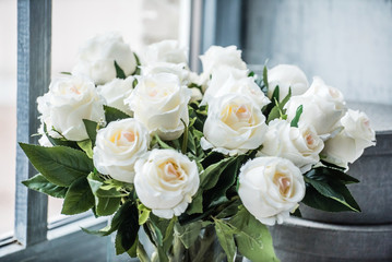 white roses