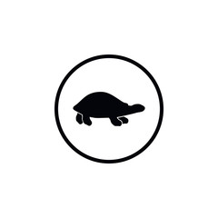 Icon turtle.