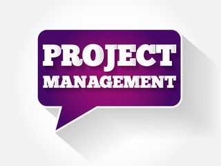 Project Management text message bubble, flat business concept background