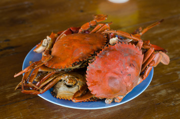 Hot Steamed Crabs