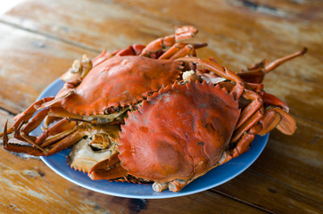 Hot Steamed Crabs