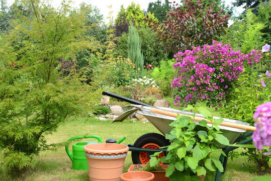 Garten 569