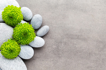 Spa stones and flowers on grey background.