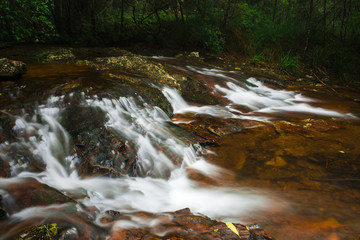 Goomoolahra creek at Springbrook National Park in Queensland.
