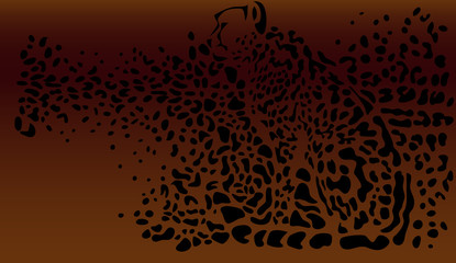 King cheetah skin - color background © bokononist