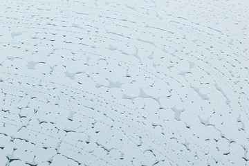 The wet glass surface. The  texture. The background.