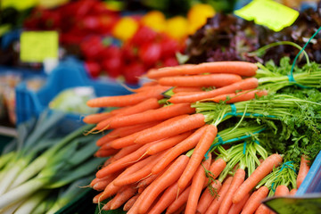 Bunches of carrots sold on farmer's market