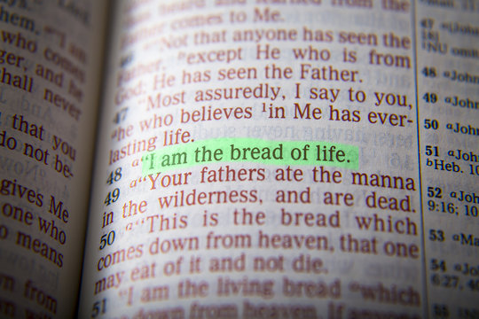 Bible text - I am the bread of life - John 6:48