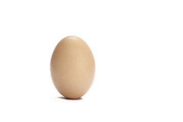Close up of an egg isolated
