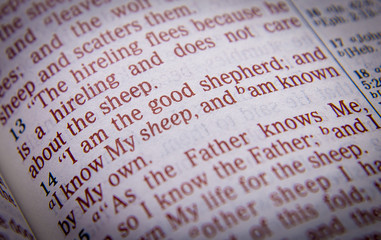 Bible text - I am the good shepherd - John 10:14