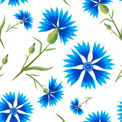 Fototapeta na wymiar Summer Seamless Pattern with Blue Cornflowers