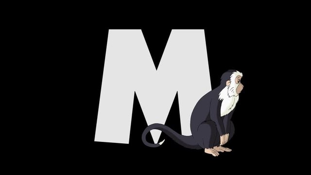 Letter M and  Monkey  (foreground)
Animated animal alphabet. HD footage with alpha channel. Animal in a foreground of letter.