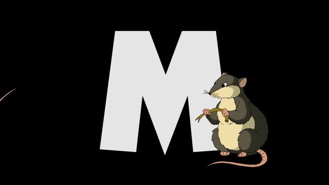 Letter M and  Mouse (foreground)
Animated animal alphabet. HD footage with alpha channel. Animal in a foreground of letter.