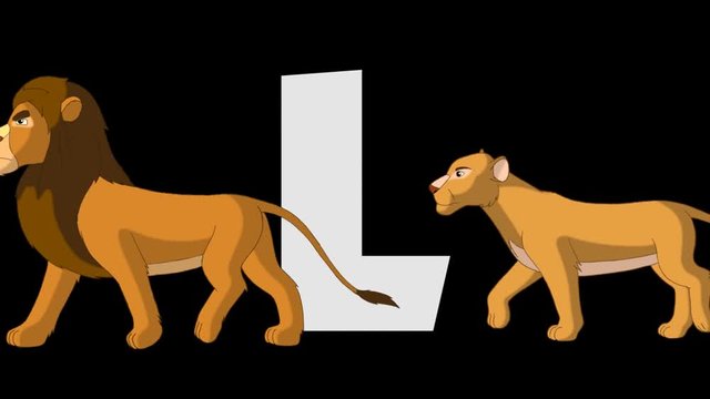 Letter L and  Lion  (foreground)
Animated animal alphabet. HD footage with alpha channel. Animal in a foreground of letter.