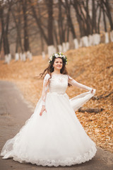 Beautiful bride posing in park and forest autumn