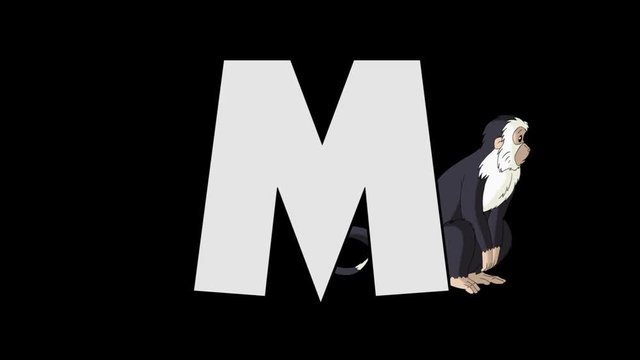 Letter M and  Monkey (background)
Animated animal alphabet. HD footage with alpha channel. Animal in a background of letter.