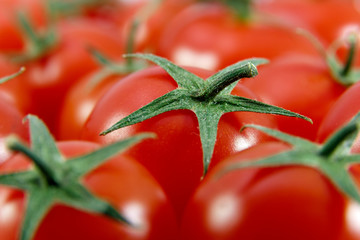 Closeup of Cherry Tomatoes