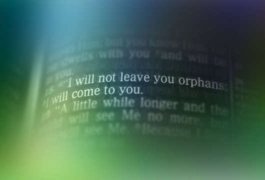 Bible text - I WILL NOT LEAVE YOU ORPHANS