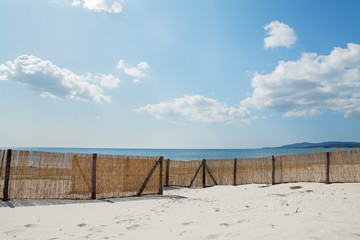 reed fence at the beach