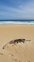 innes national park, south australia
