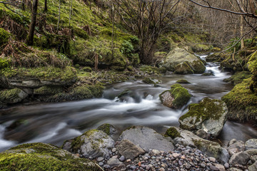 Flowing River in Alva Glen, Scotland