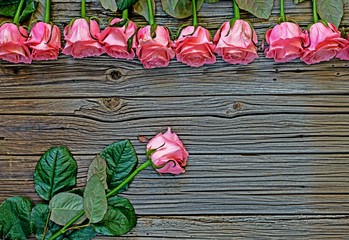 Pink roses rustic Valentines Day background