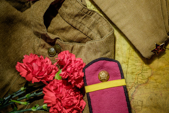 Carnations with forage-cap and blouse on dark background.
