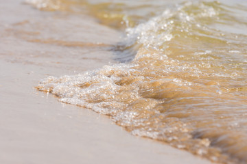 Fototapeta na wymiar The wave rolled on the sandy shore