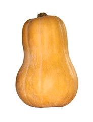 butternut squash