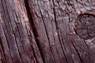 Fragment of an old knotty wooden planks
