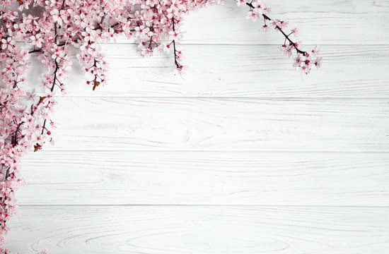 Spring Wallpaper  FREE Download  Powderkeg Web Design
