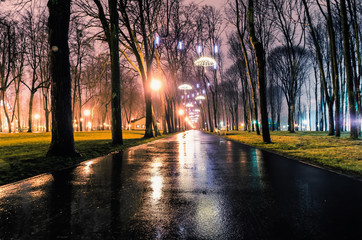 Park alley by night in Kharkiv