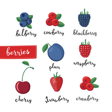 Different kinds of berries  and lettering name 