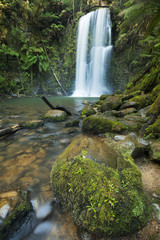 Rainforest waterfalls, Beauchamp Falls in Australia