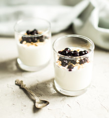 Glass 0f yogurt with muesli and black currants