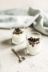 Glass 0f yogurt with muesli and black currants