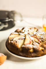 Homemade Apple Pie Dessert Ready to Eat